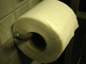 Le papier toilette, un élément important !