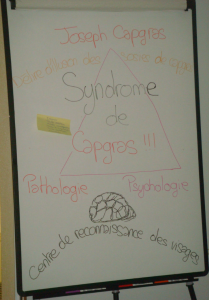 Schéma descriptif du syndrome de Capgras
