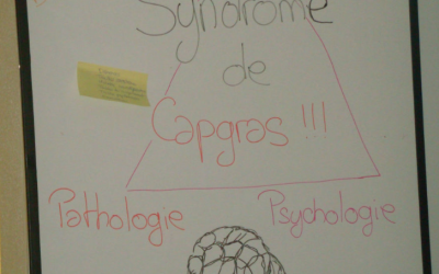 Le syndrome de Capgras