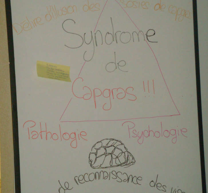 Le syndrome de Capgras