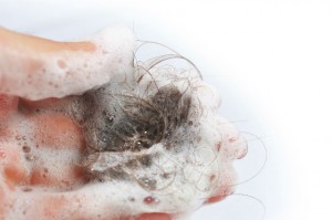 Au-delà de 1000 cheveux perdus par jour la chute du cheveu résulte d’une pathologie