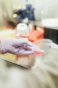 laboratoire medecin