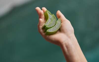 Les avantages du gel d’aloe vera pour la peau et les cheveux