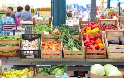 Conseils pour une alimentation équilibrée et variée : Les astuces pour composer des repas sains et savoureux avec WW (Weight Watchers), Atkins, etc.