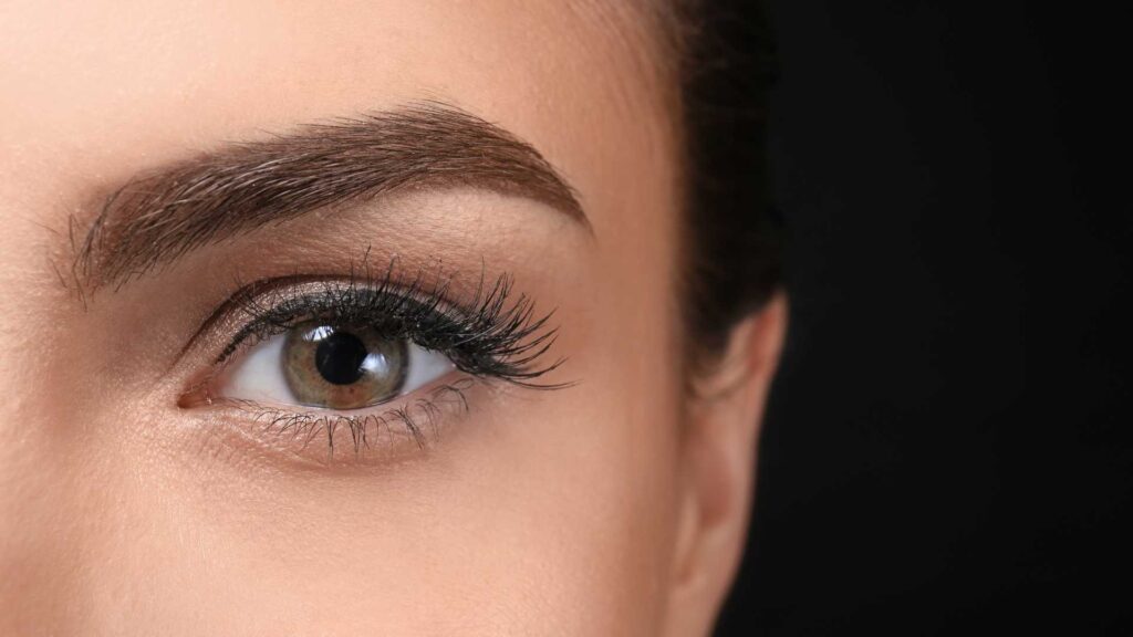 Sourcil femme