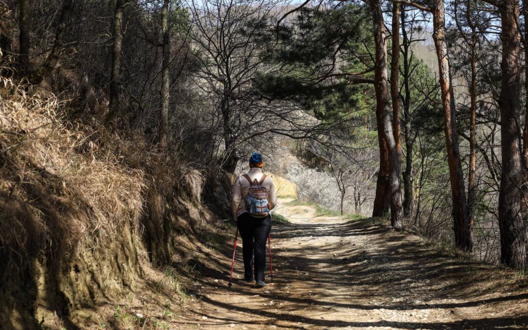 Les avantages de la marche nordique pour la santé cardiovasculaire